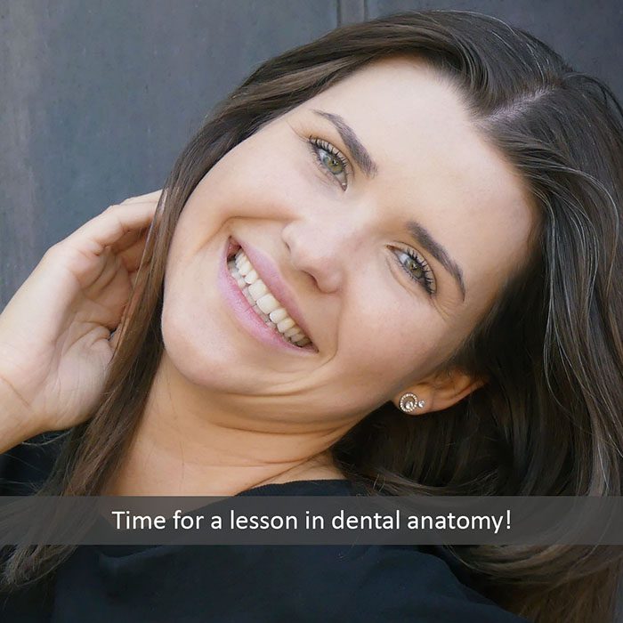 dental anatomy 2022 700 Dr. Mimi M. Cabanban Family Dentistry